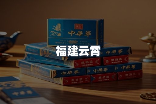 福建云霄